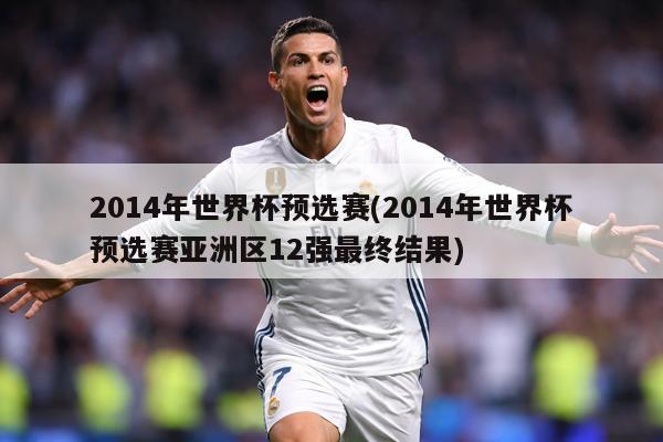 2014年世界杯预选赛(2014年世界杯预选赛亚洲区12强最终结果)