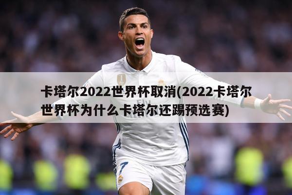 卡塔尔2022世界杯取消(2022卡塔尔世界杯为什么卡塔尔还踢预选赛)