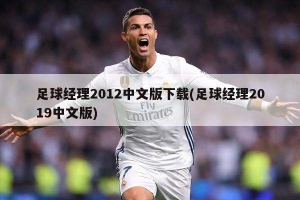 足球经理2012中文版下载(足球经理2019中文版)