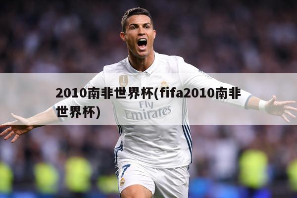 2010南非世界杯(fifa2010南非世界杯)