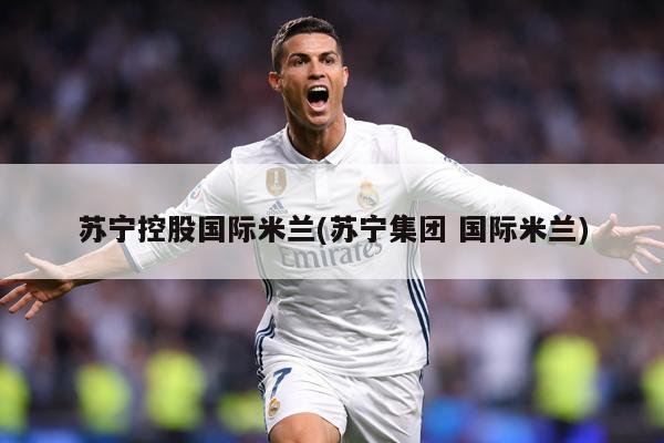 苏宁控股国际米兰(苏宁集团 国际米兰)