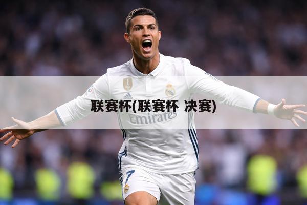 联赛杯(联赛杯 决赛)