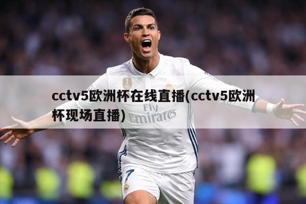 cctv5欧洲杯在线直播(cctv5欧洲杯现场直播)